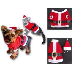 Costume de Noël pour chat/petit chien