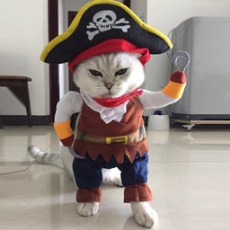 Costume pirate pour chat / petit chien