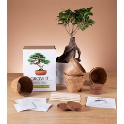 Kit de plantation pour bonsaï
