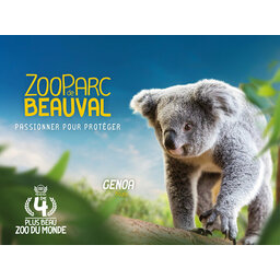 Billet ZooParc de Beauval